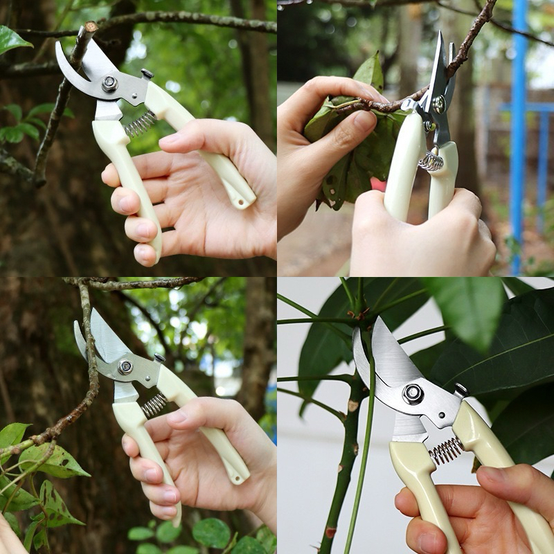 Jual GUNTING TANAMAN DAHAN POHON RANTING RUMPUT DAUN BUNGA KEBUN UNTUK ...