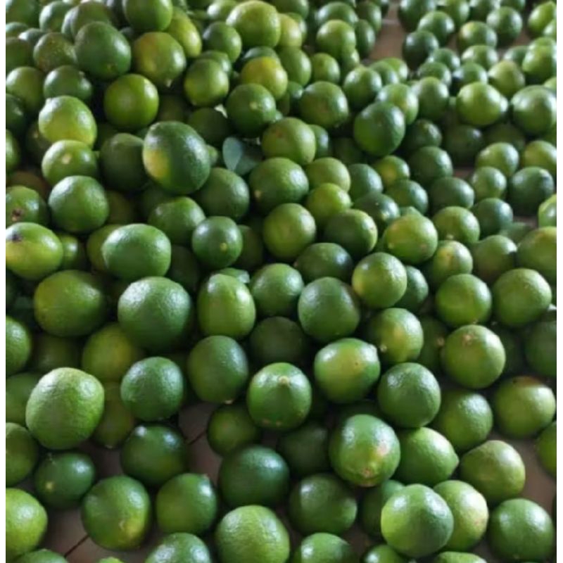 Jual jeruk nipis 500gr | Shopee Indonesia