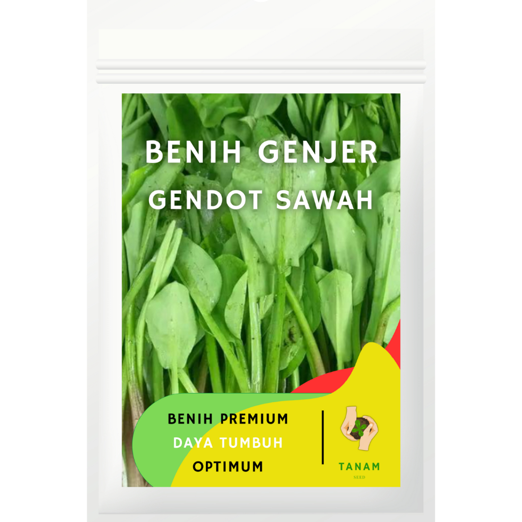 Jual Benih Sayur Genjer Gendot Ratusan Biji Unggul TANAM SEED | Shopee ...