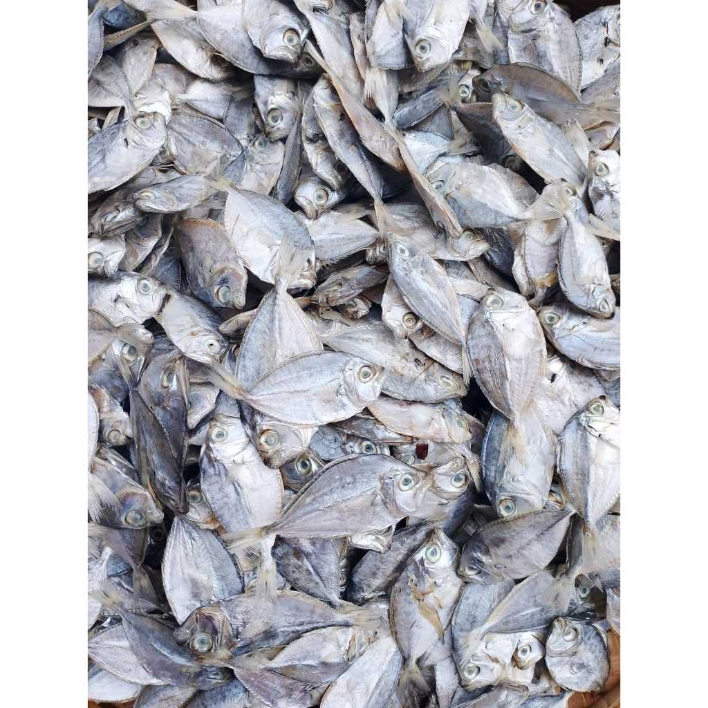 Jual Ikan asin petek / ikan asin pirik / ikan dodok kering | Shopee ...