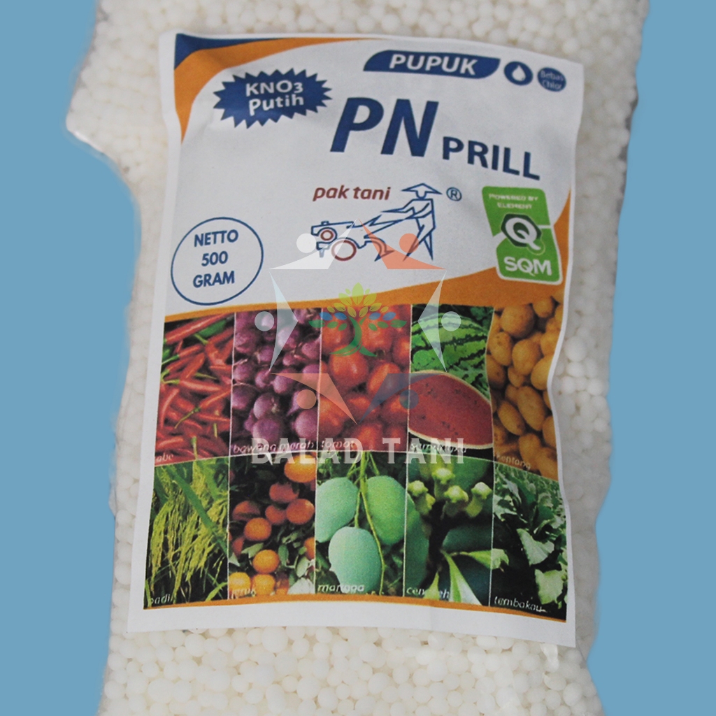 Jual PUPUK KNO3 PUTIH PN PRILL 13-0-45 2KG PAK TANI TANAMAN KEMASAN ...