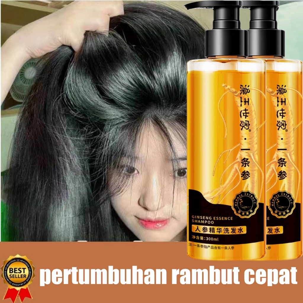 Jual Ginseng Shampoo 300ml shampo gingseng Sampo penumbuh rambut cepat ...