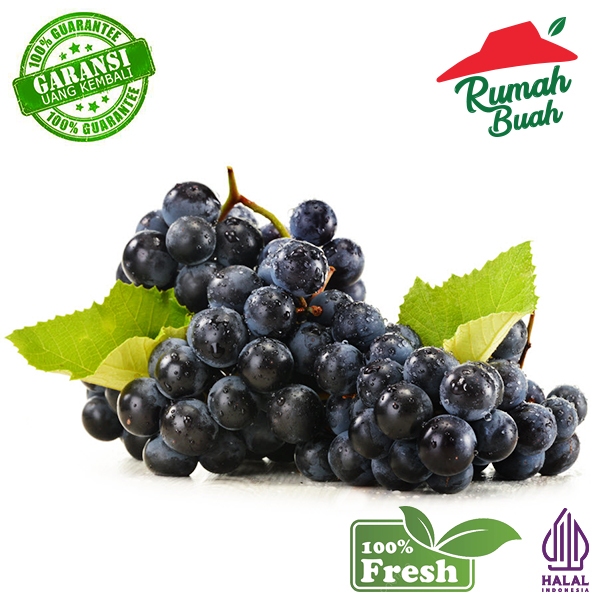 Jual ANGGUR BLACK AUTUMN 1KG MANIS [RUMAH BUAH] | Shopee Indonesia