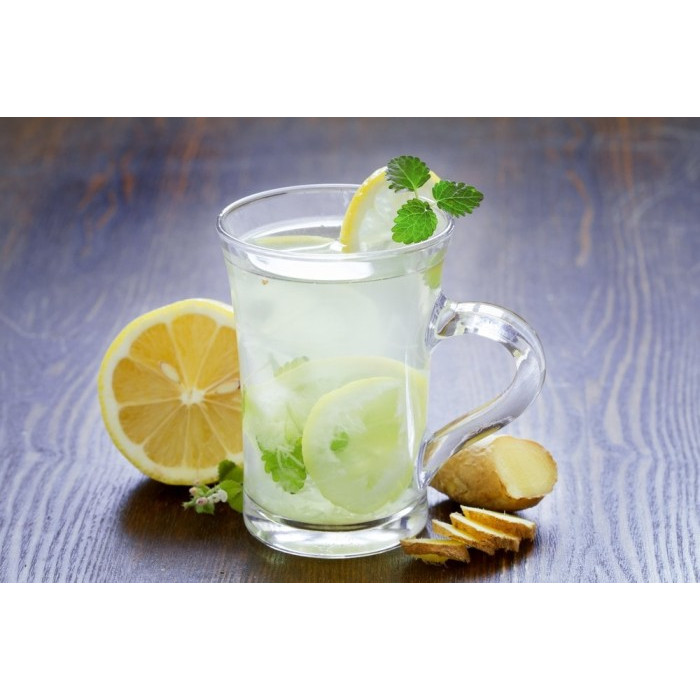 Jual Osterberg Lemon Mint Syrup 100ml Repack Sirup Minuman Rasa Lemon ...