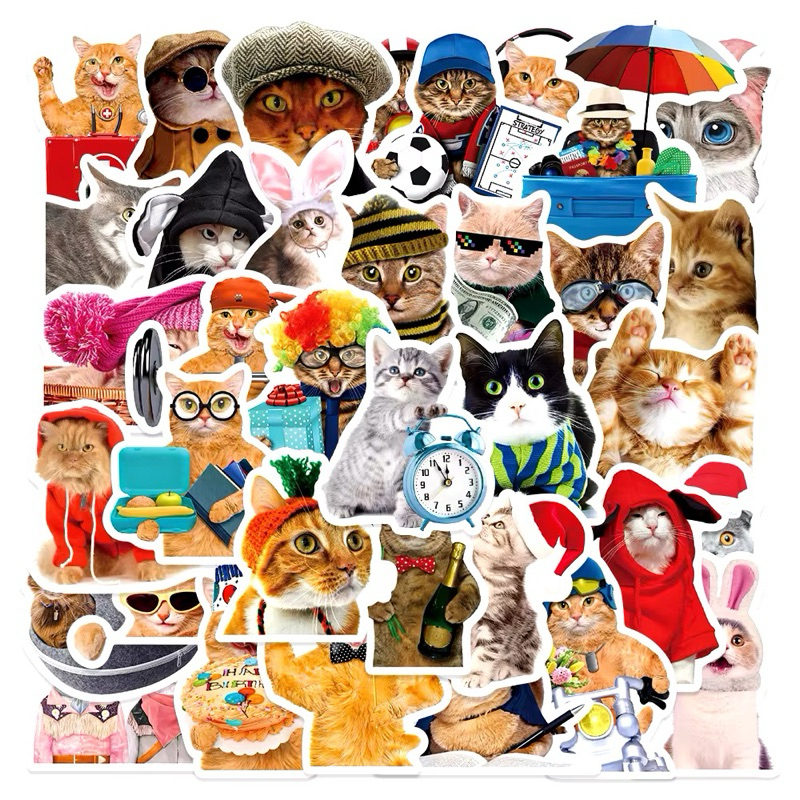 Jual 50pcs Sticker Kucing Lucu Cat Meme Stiker PVC Laptop Koper HP Anti ...