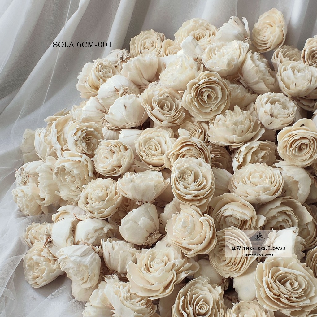 Jual Bunga Sola Wood Flowers 6 CM / Bunga Kayu | Shopee Indonesia