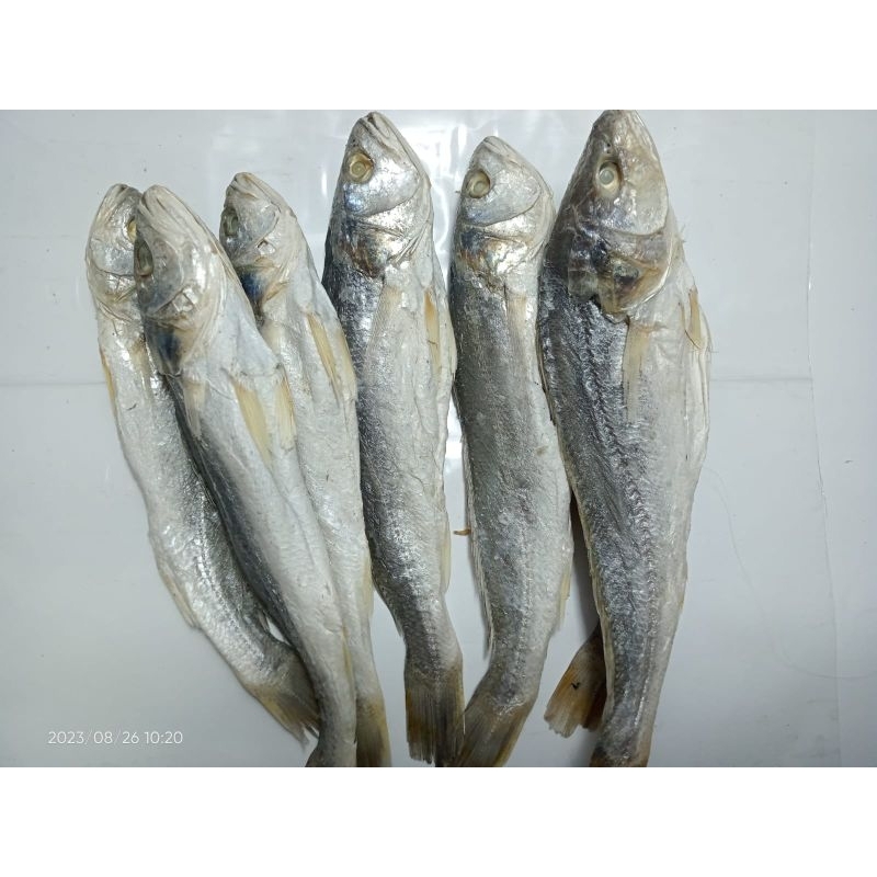 Jual Ikan Asin Sangge Samge Panjang Ikan Asin Medan 250 gram | Shopee ...