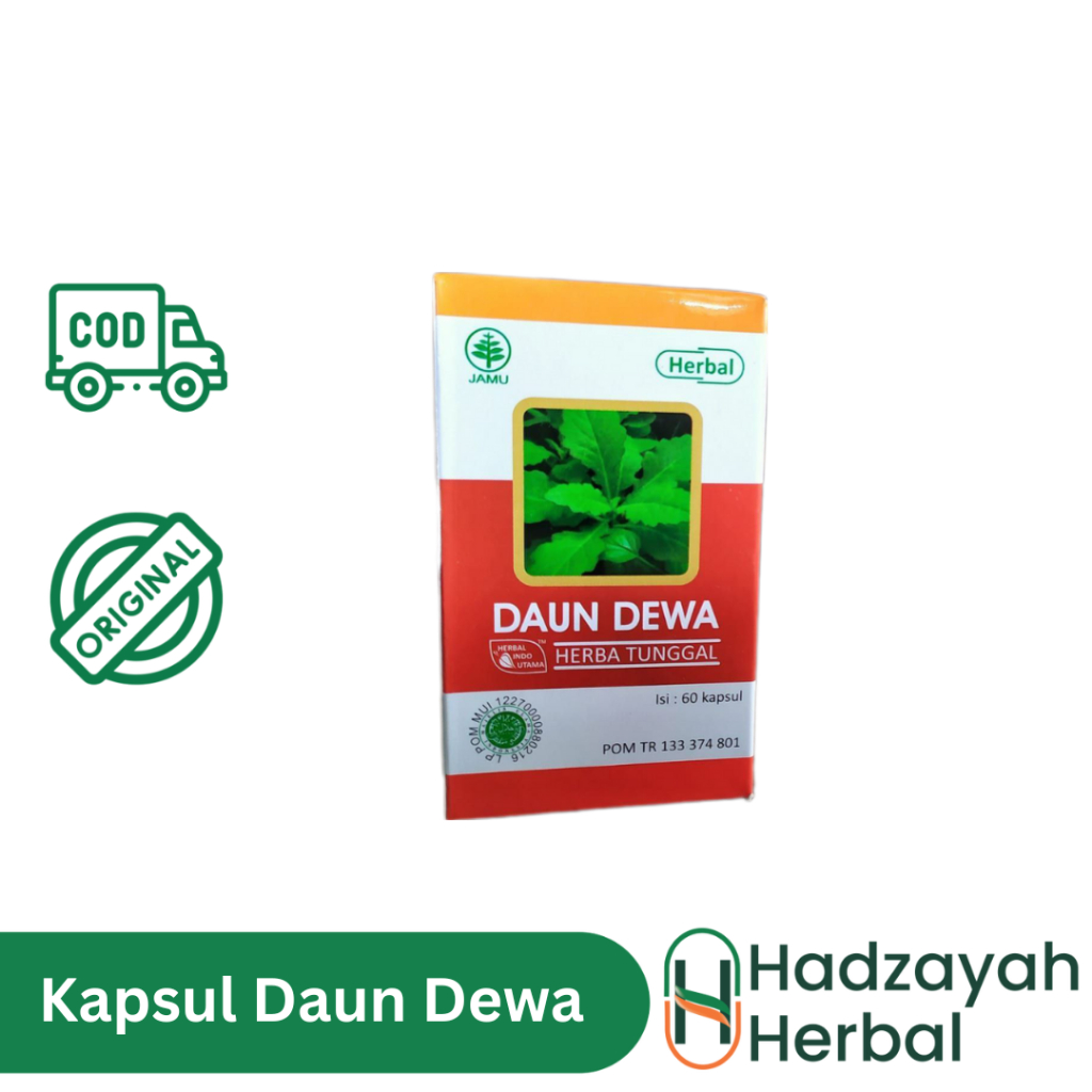 Jual Kapsul Extrak Daun Dewa Hiu 60 Kapsul Membantu Mengatasi Tb Paru