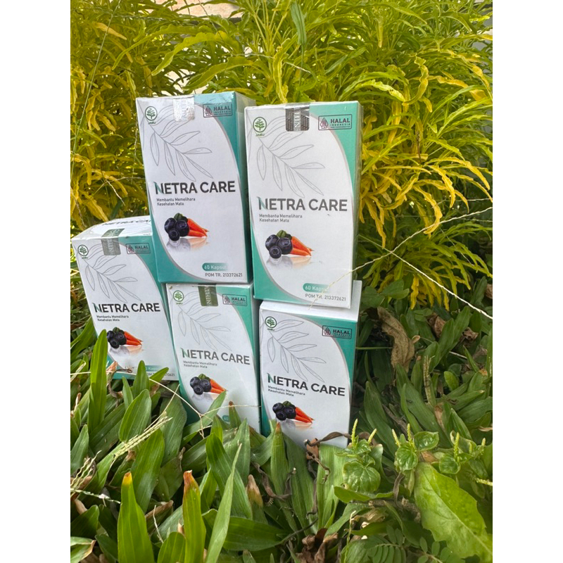 Jual NETRACARE kapsul mata herbal besar isi 60 kapsul | Shopee Indonesia