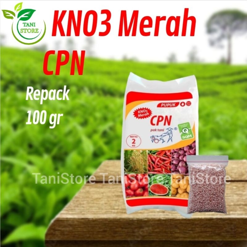 Jual Pupuk Kno Merah Pak Tani Cpn Pupuk Kno Putih Pak Tani Pn Kristal