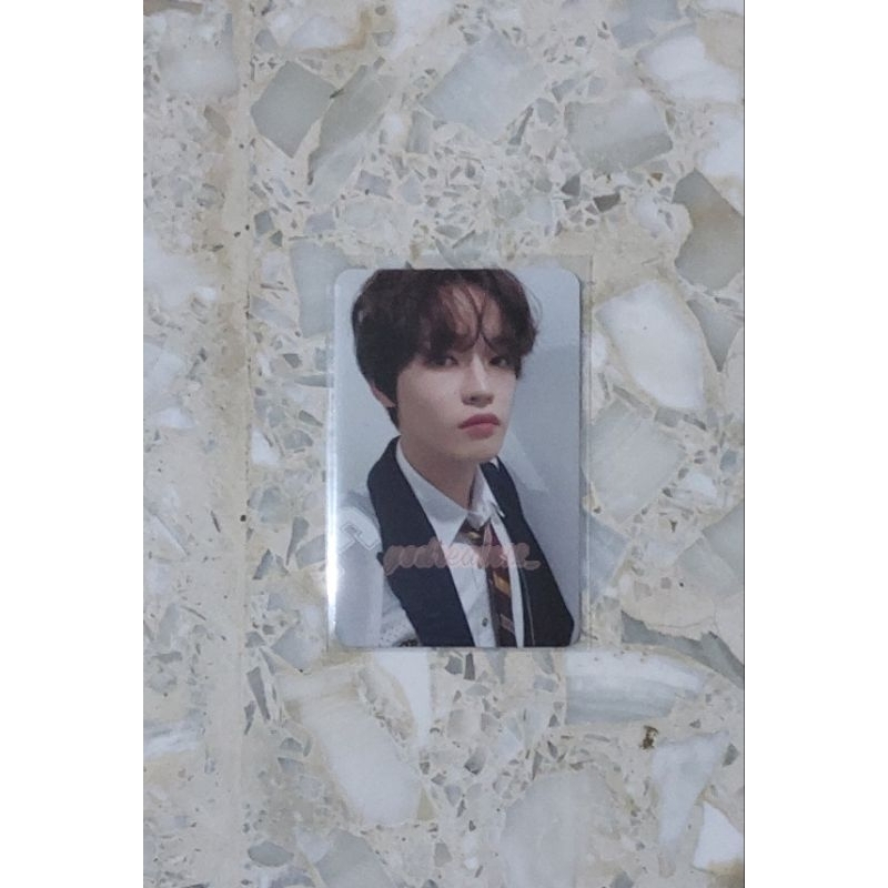 Jual pc mark renjun jeno haechan jaemin jisung chenle nct dream istj ...