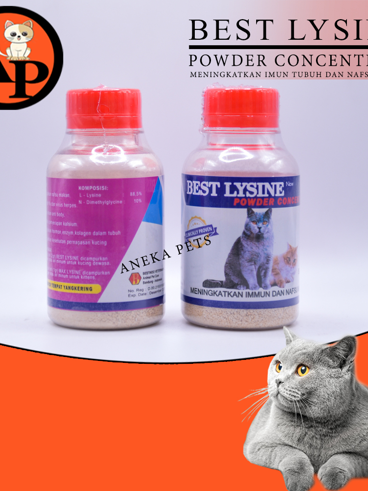 Jual Best Lysine Cat 50GR Mencegah Virus Herpes Kucing Menguatkan
