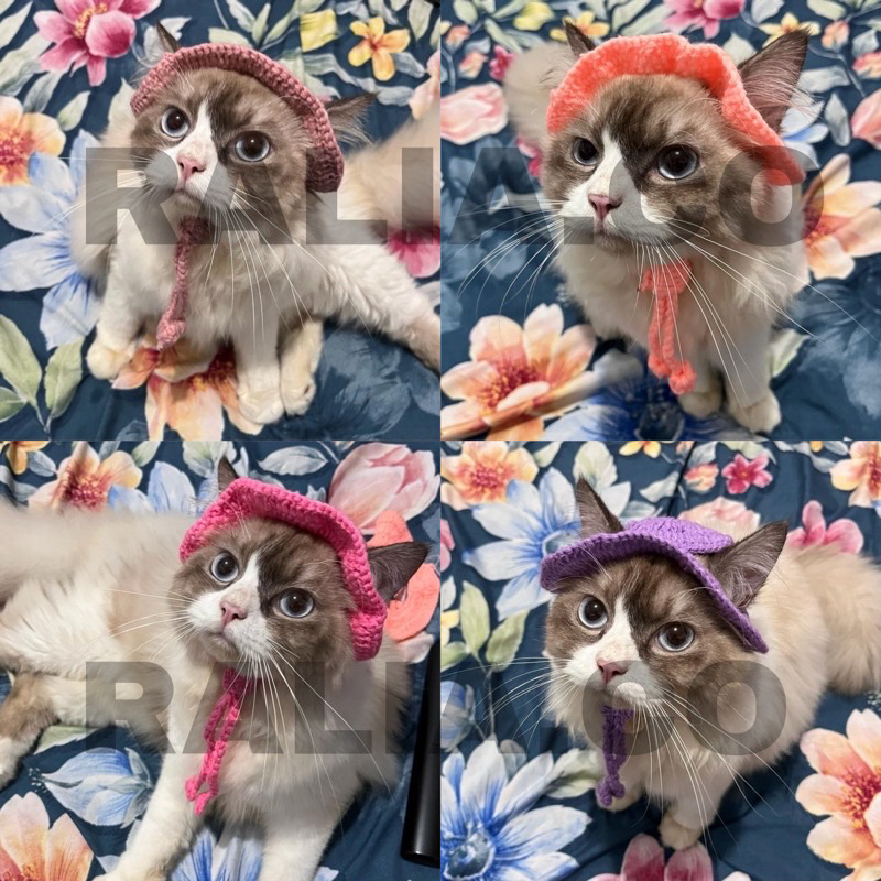 Jual PART 2 TOPI RAJUT KUCING kalung kucing rajut topi hewan kucing ...