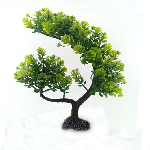 Jual Hiasan aquarium tanaman bonsai, bonsai aquarium, dekorasi aquarium
