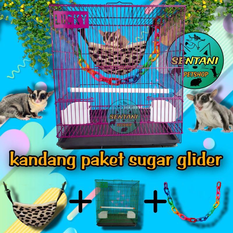 Jual Kandang Sugar Glider Paket Termurah Lengkap Dan Berkualitas