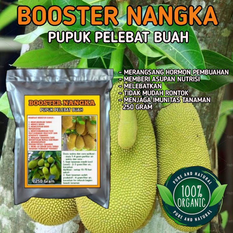 SPESIAL PROMO pupuk booster nangka pupuk pelebat buah nutrisi untuk buah termurah bisa cod kemasan 250 gram