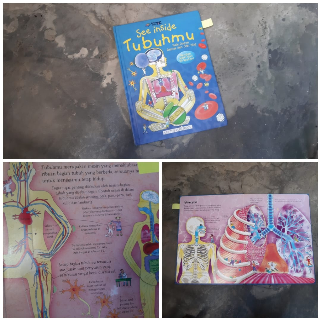 Jual See Inside Tubuhmu lift the flap book HC buku anak | Shopee Indonesia