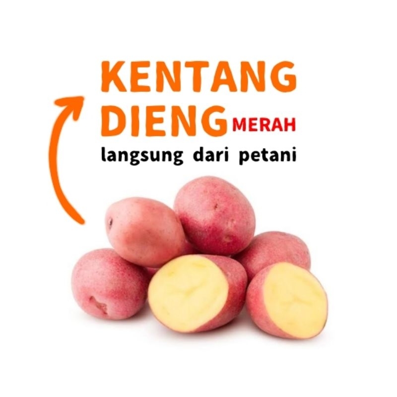 Jual Kentang Dieng Merah Langka Shopee Indonesia