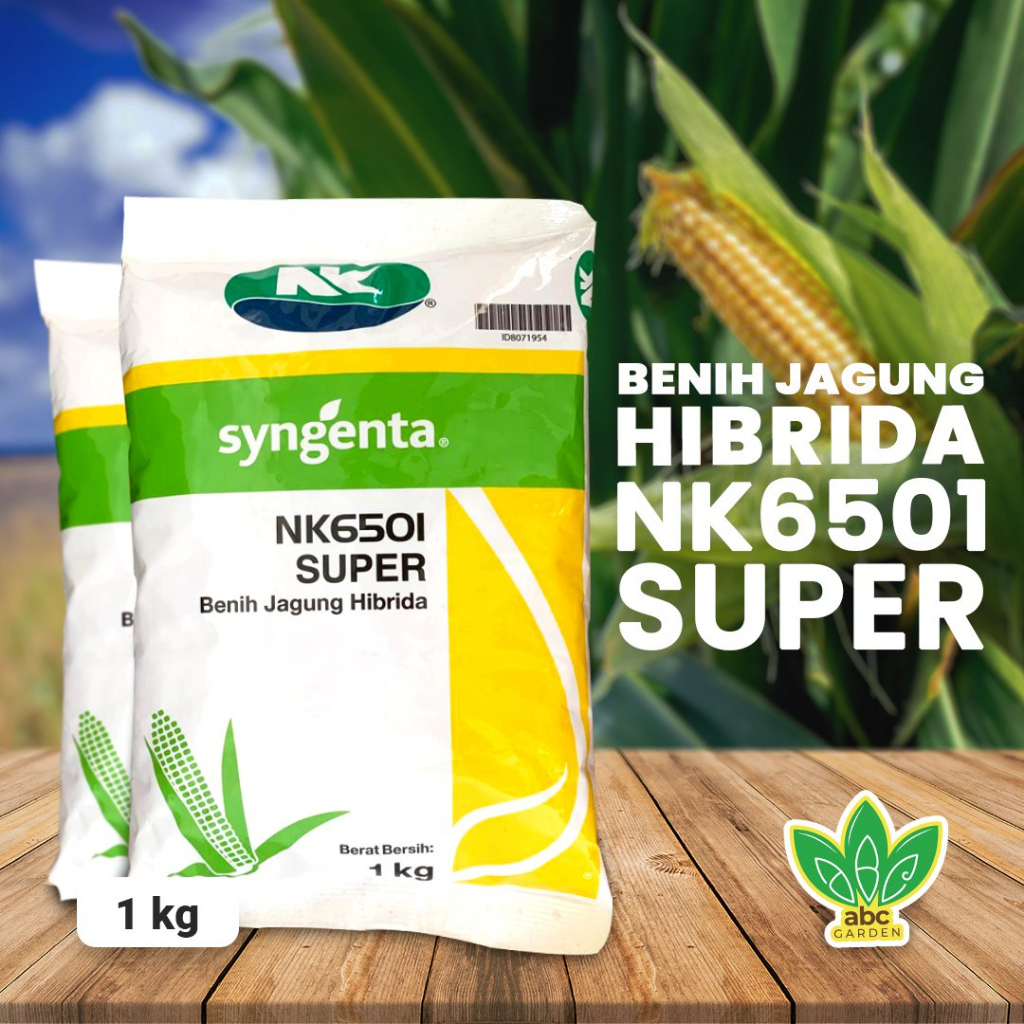 Benih Jagung Hibrida