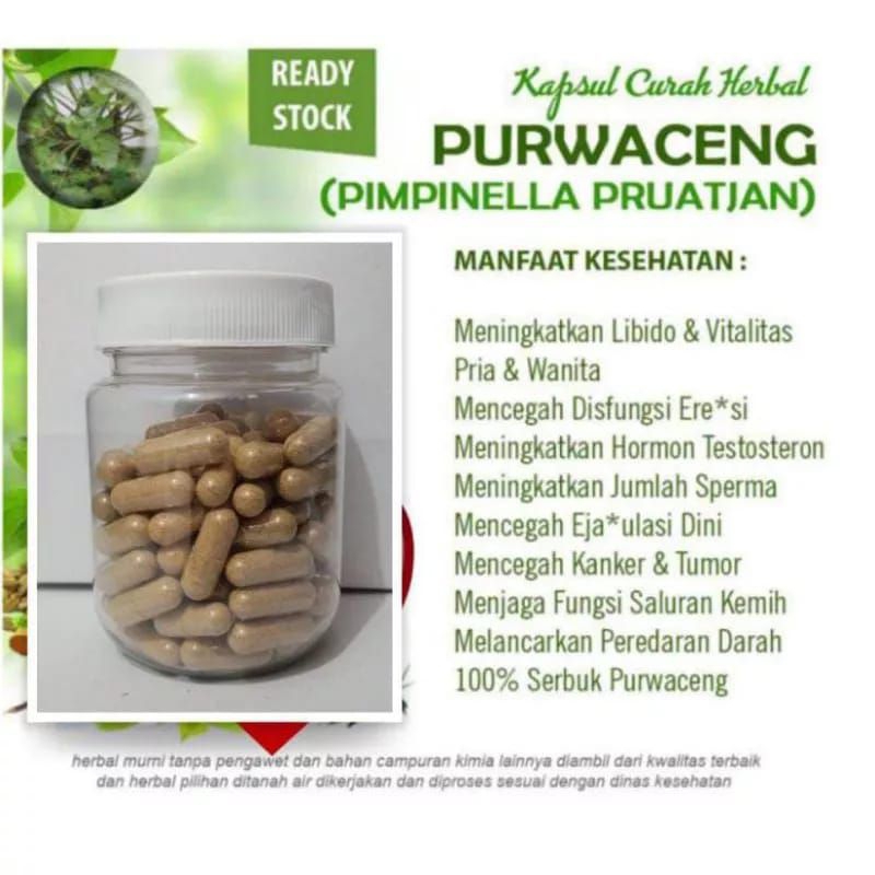 Jual Purwaceng Kapsul Isi 100 Asli Berkhasiat Stamina Pria Kemasan