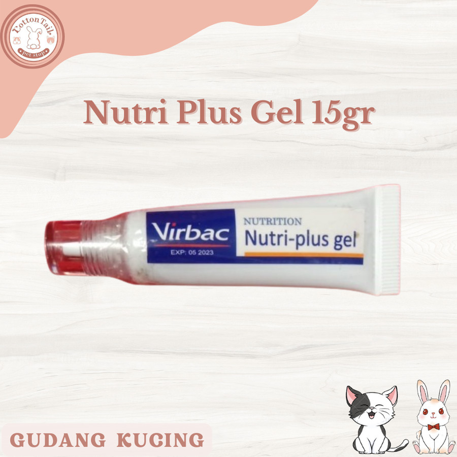 Jual Nutriplus gel 15gr vitamin kucing imun nutri plus gell cat virbac ...