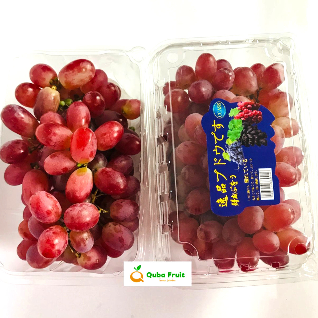 Jual Anggur Crimson Seedless Pack Buah Anggur Shopee Indonesia