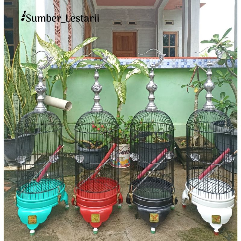 Jual Sangkar Helopet Pvc Merk Gankster Cocok Buat Lomba Kandang Helopet Pleci Murah Shopee