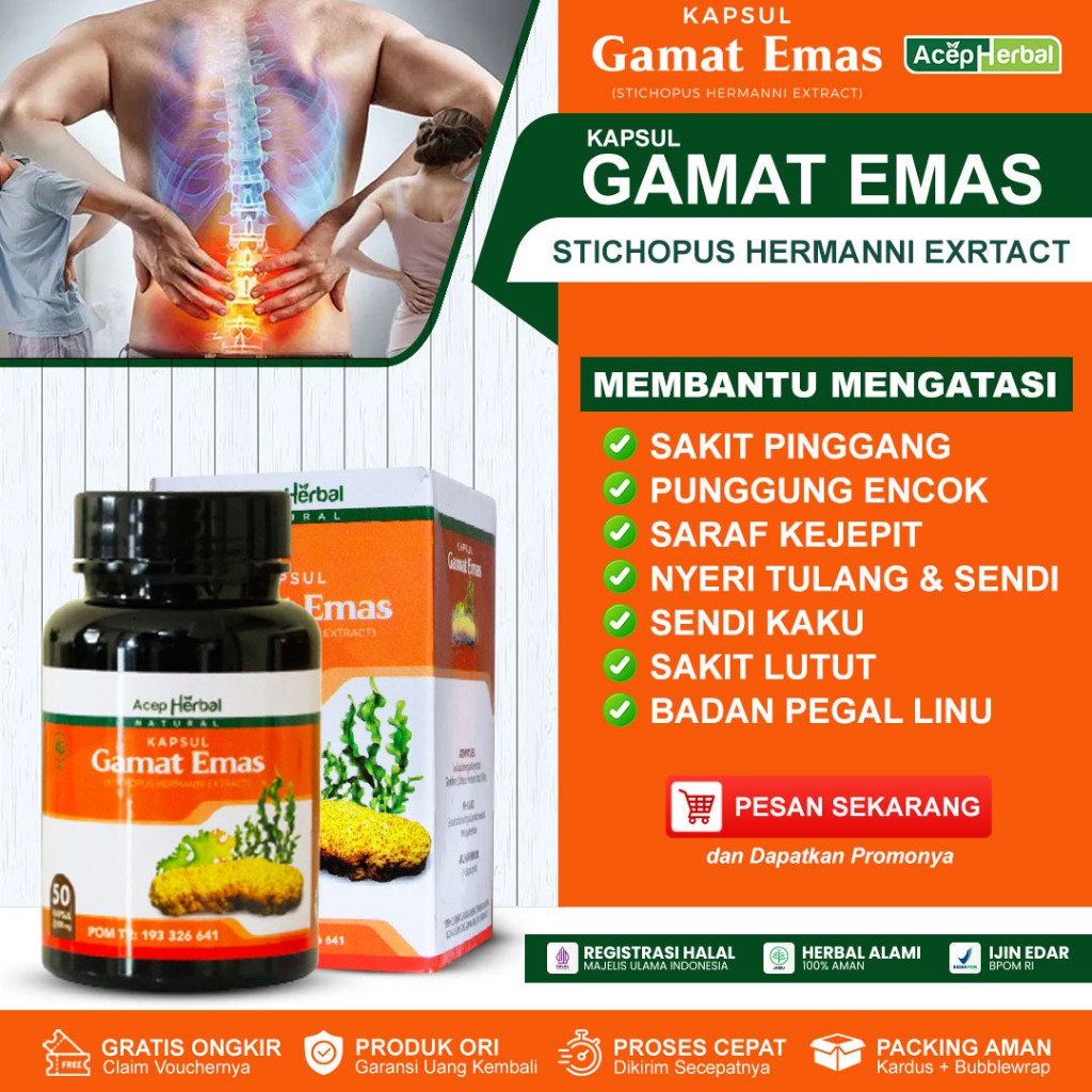 Jual Obat Sakit Pinggang Apotik Nyeri Punggung Sakit Lutut Badan Pegal