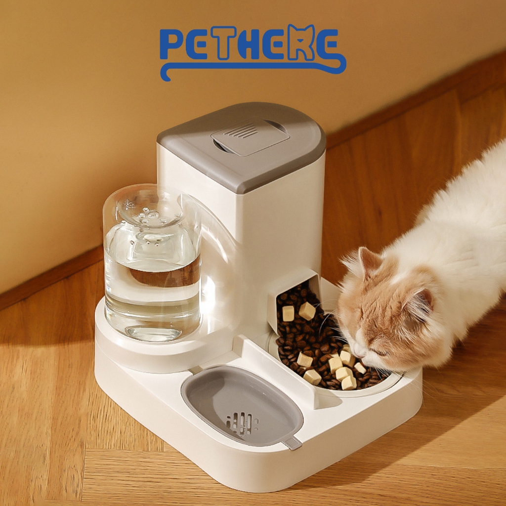 Jual DISKON 75%! PET THERE Tempat Makan Kucing Otomatis M76/Tempat ...