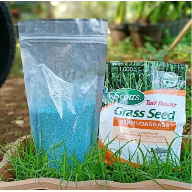 Jual Scotts Turf Builder Grass seed Bermuda 500Gram ±LBS° Benih Rumput