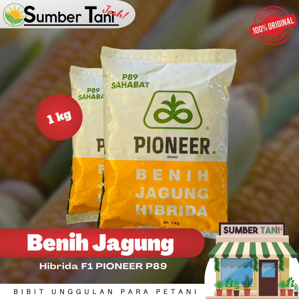 Jual BENIH JAGUNG HIBRIDA PIONEER P89 KEMASAN 1KG | Shopee Indonesia