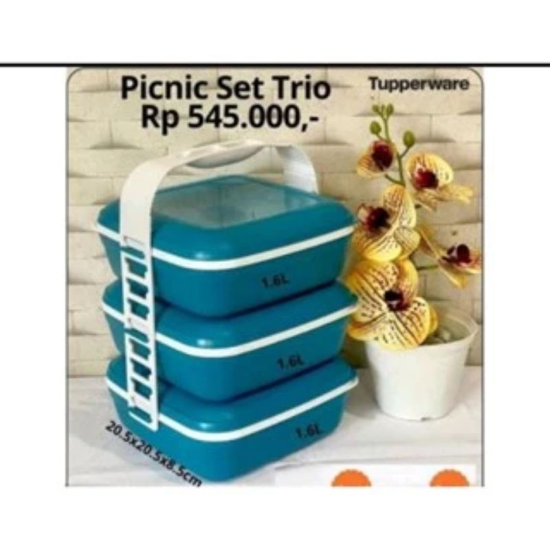 Jual picnic set trio tupperware | Shopee Indonesia