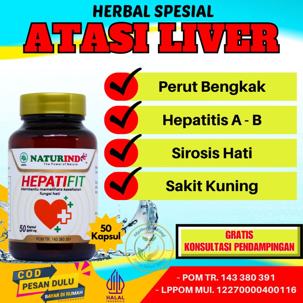 Jual Obat Liver Hepatitis A B Perut Bengkak Sakit Kuning Sirosis Hati ...