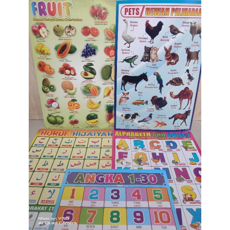 Jual Poster Belajar Anak / Paket 5 Lembar | Shopee Indonesia