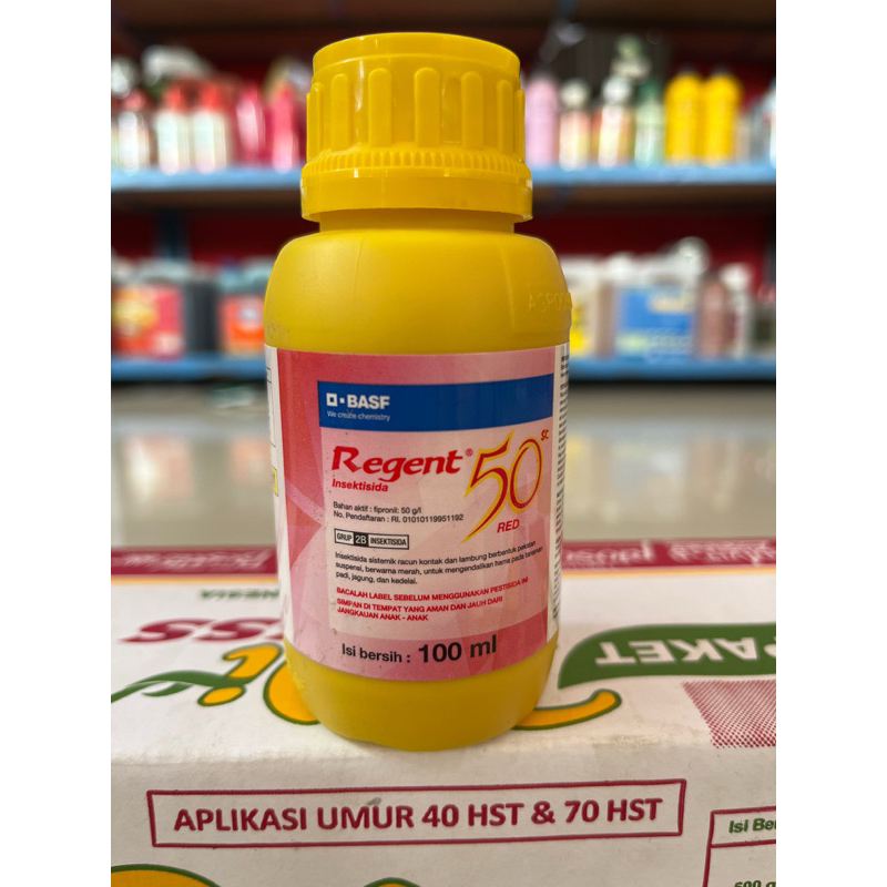 Regen Malen Shifting Soil Conditions: Regen Melbourne’s Model For Systems