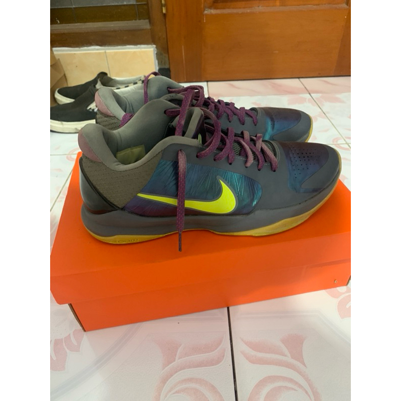 Jual Kobe Proto 5 Reverse | Shopee Indonesia