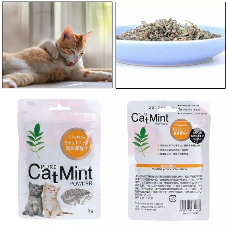 Jual Catnip Cat Mint powder 5gr | Shopee Indonesia
