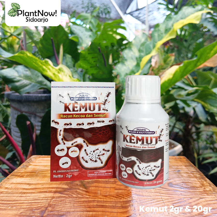 Jual Pembasmi Semut dan Kecoa FIPRONIL KEMUT - 20gram | Shopee Indonesia