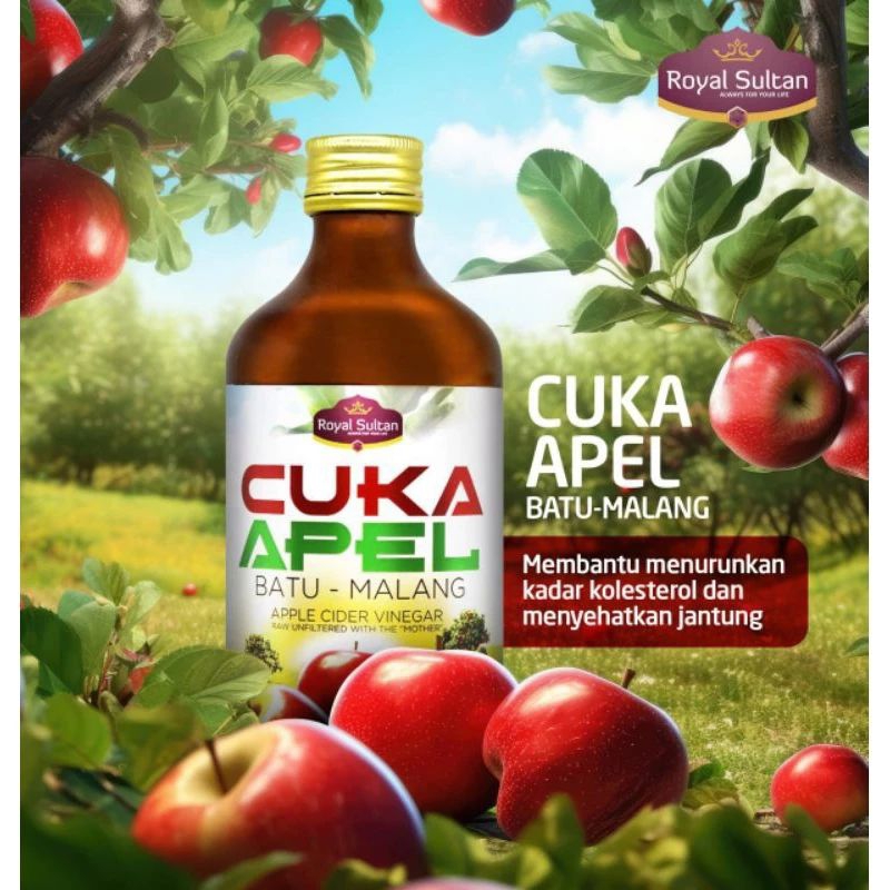 Jual Free Jahe Merah Cuka Apel Natural Apple Vinegar Batu Malang untuk ...