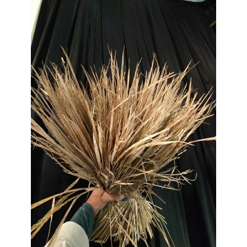 Jual padi kering | bunga padi rustic | rumput kering padi | bahan ...