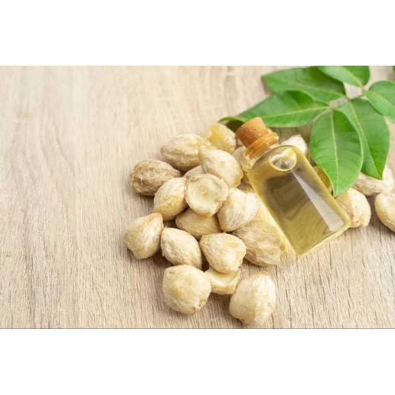 Jual Candle Nut Oil (100 ml) / MInyak Kemiri / Kukui nut OIl | Shopee ...