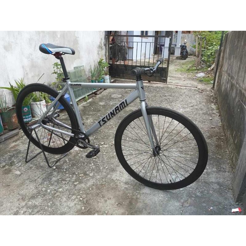 repaint fixie