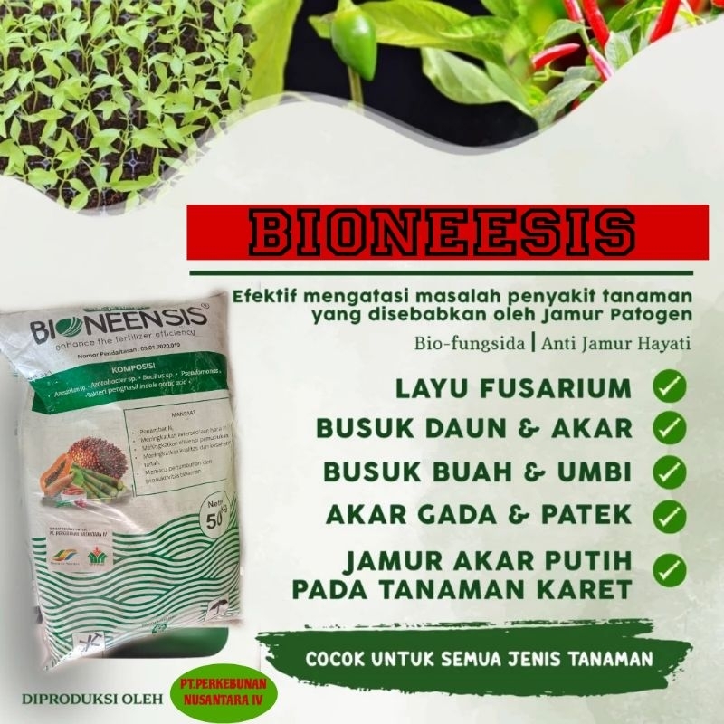 Jual PUPUK ORGANIK HAYATI BIONEENSIS 1KG MEMPERCEPAT PEMBUAHAN MENJADI ...