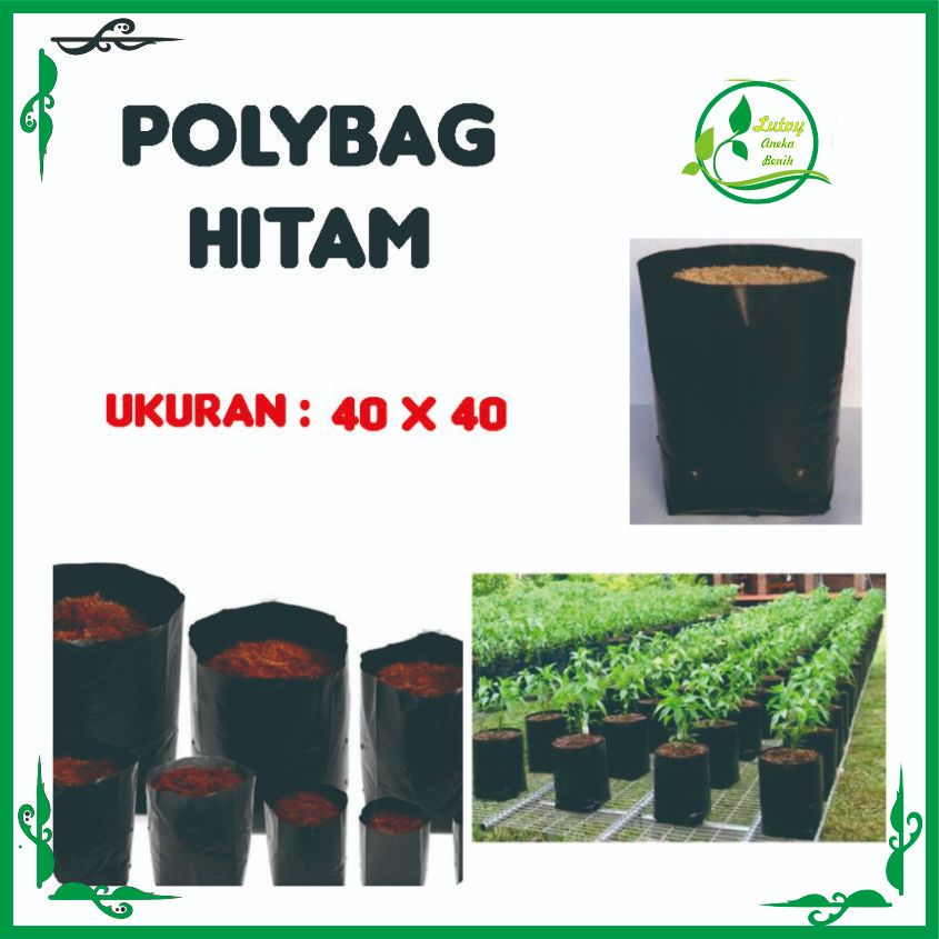 Jual POLYBAG HITAM UKURAN 40 X 40 | Shopee Indonesia