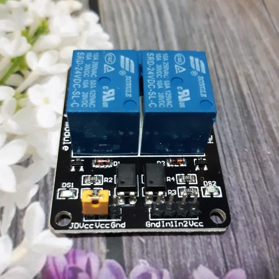 Jual Relay Module 2 Ch 12V DC Low Level Trigger +Optocoupler High ...