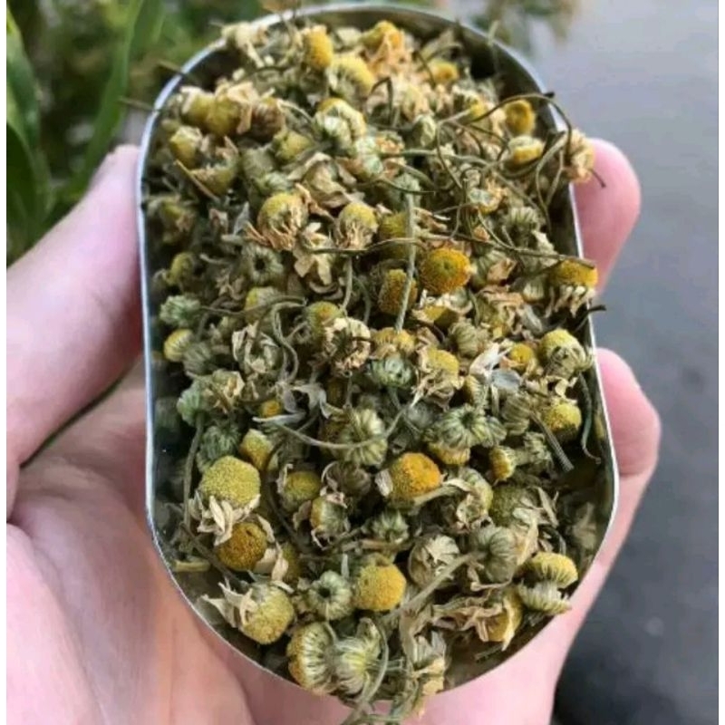 Jual Teh Chamomile Premium 5gr | Shopee Indonesia