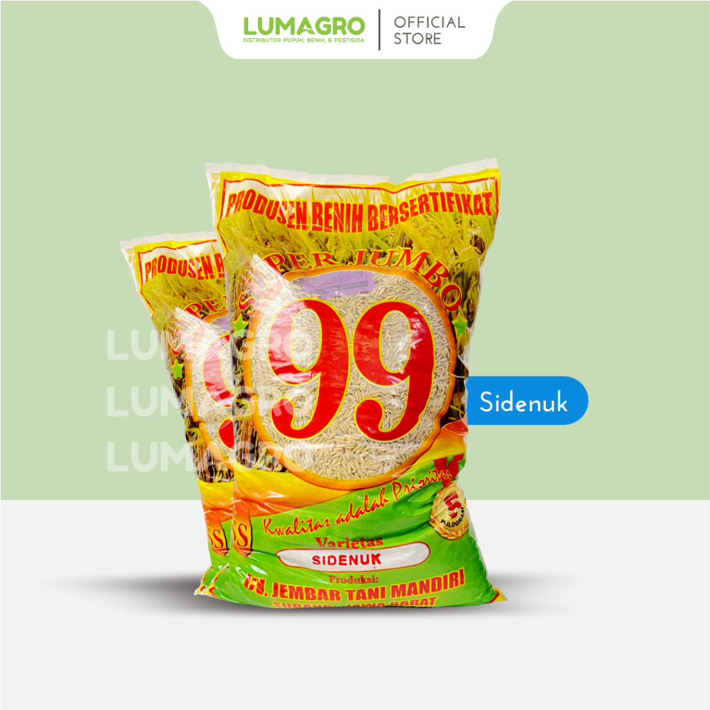 Jual Benih Padi Subang Kg Bibit Pari Super Jumbo Berbagai Varietas Tahan Wereng Dan Hawar