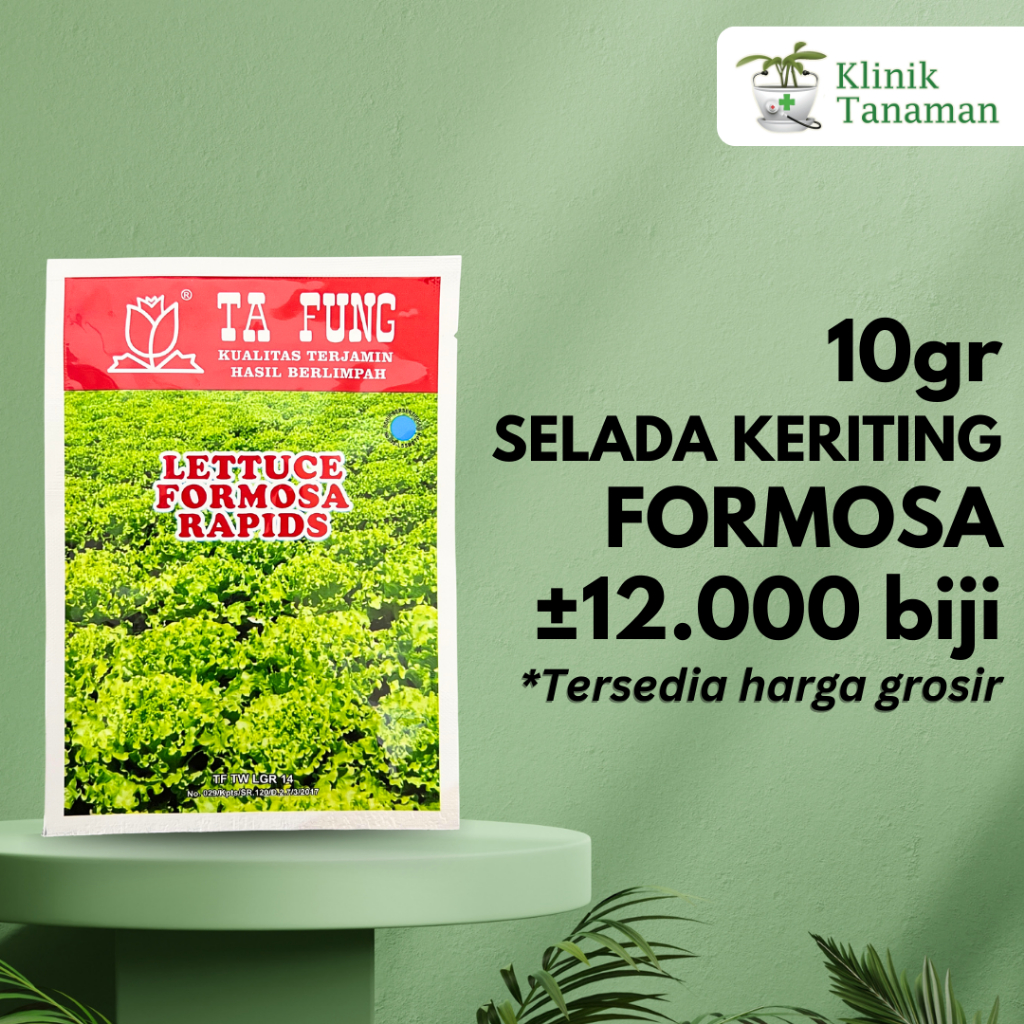 Jual Benih Selada Keriting / Bokor Lettuce Grand FORMOSA 10gr (12.000 ...