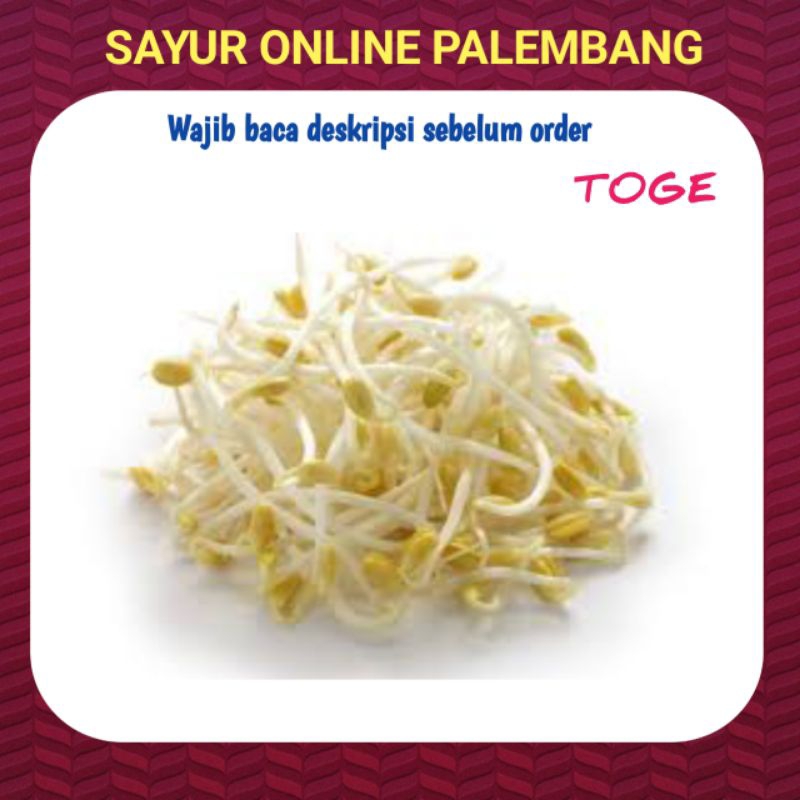 Jual Toge Kecambah Segar - Pasar Toko Sayur Segar Online Palembang ...