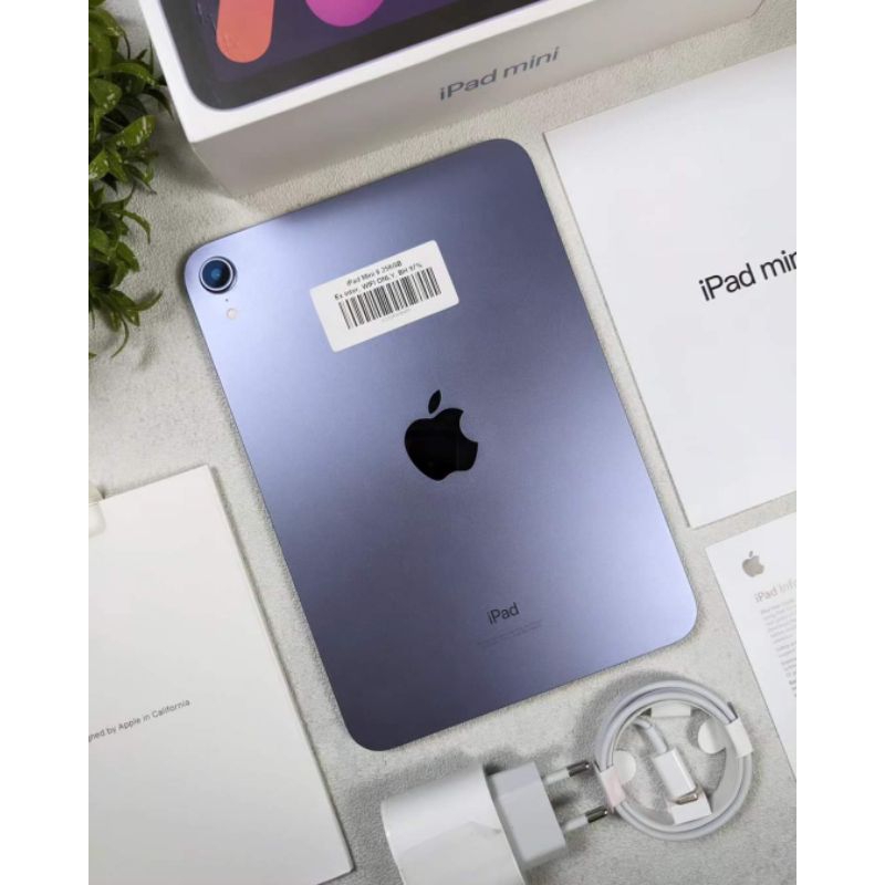 Jual iPad Mini 6 256Gb Wifi Only | Shopee Indonesia